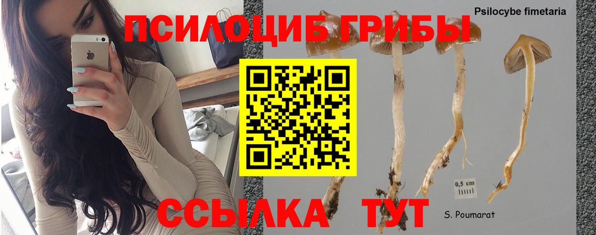 Галлюциногенные грибы GOLDEN TEACHER Волхов
